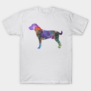 Harrier in watercolor T-Shirt